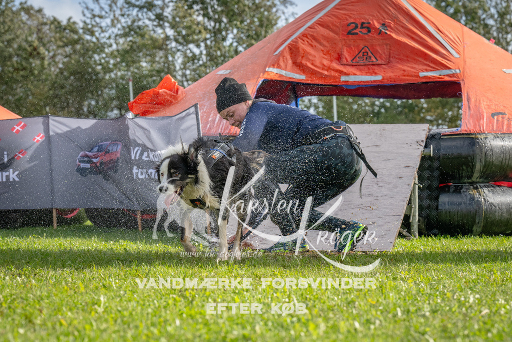 1212-92837 | kk-dogfotos