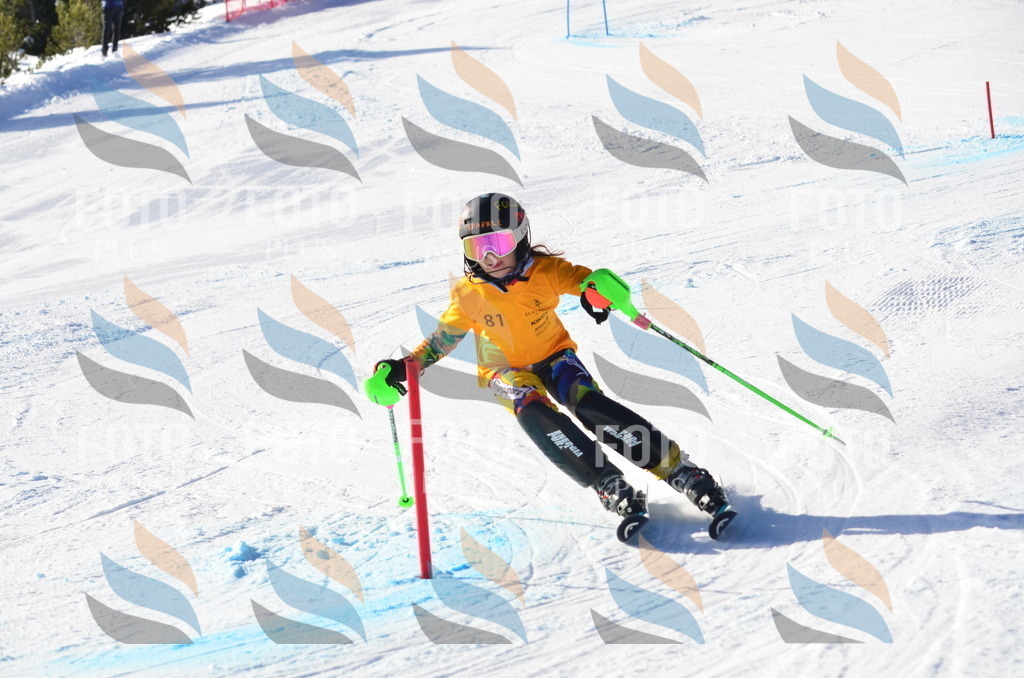 C5983 | holidayphoto