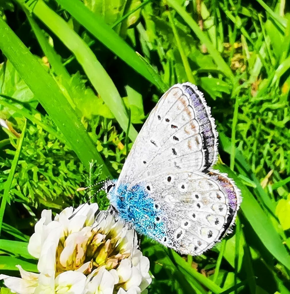 PSX_20220920_224022 | mtkfoto_ - Realisiert mit Pictrs.com