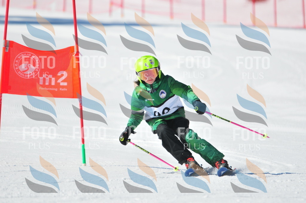 C3262 | holidayphoto