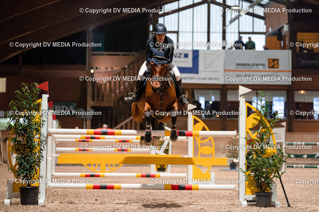 Springen Tag 2-830 | dv-media-shop - Realisiert mit Pictrs.com