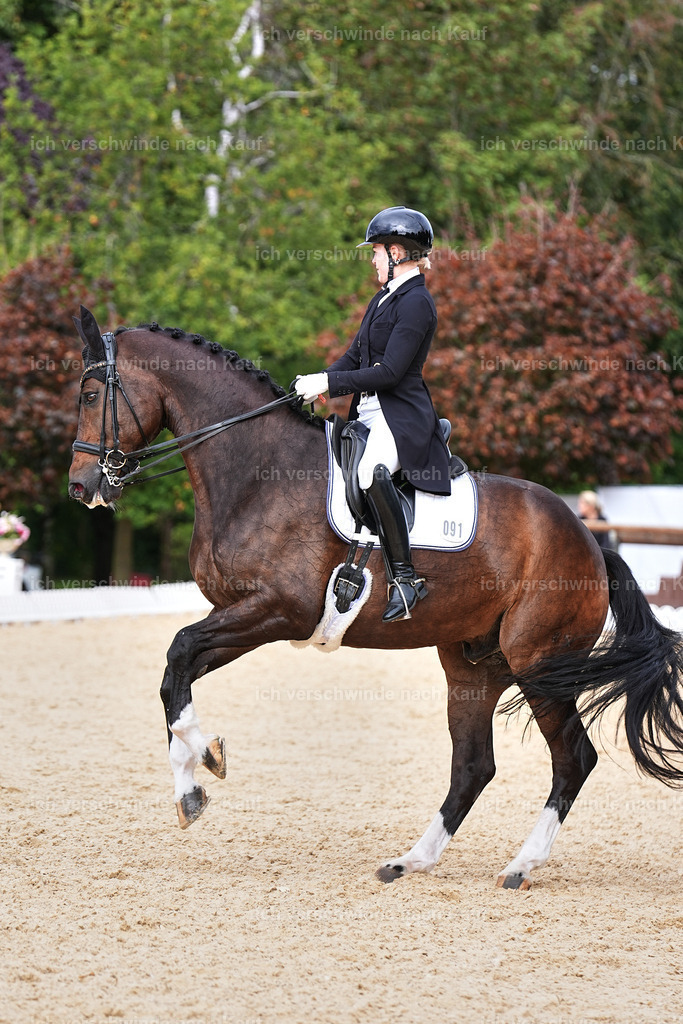 11-091-Dressur S___-Marixx-1634 | working equitationturnier fotograf videograf stoibphotography marixx film working equitation deutschland reitsport turnierfotografie eventfotografie equestrian events