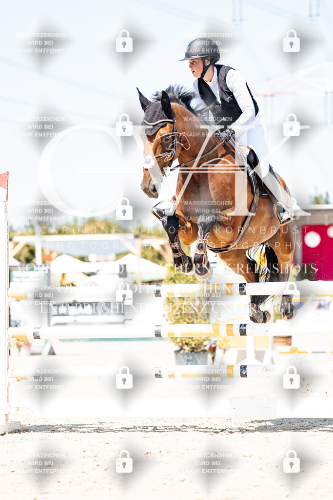 CK909616 | Turnierfotografie Pferdefotografie Trier Rheinland-Pfalz Pferdesport Reitsport Tierfotografie Sportfotografie Pferdevideo Pferdevideografie Equestrianvideography equestrianphotography  - Realisiert mit Pictrs.com