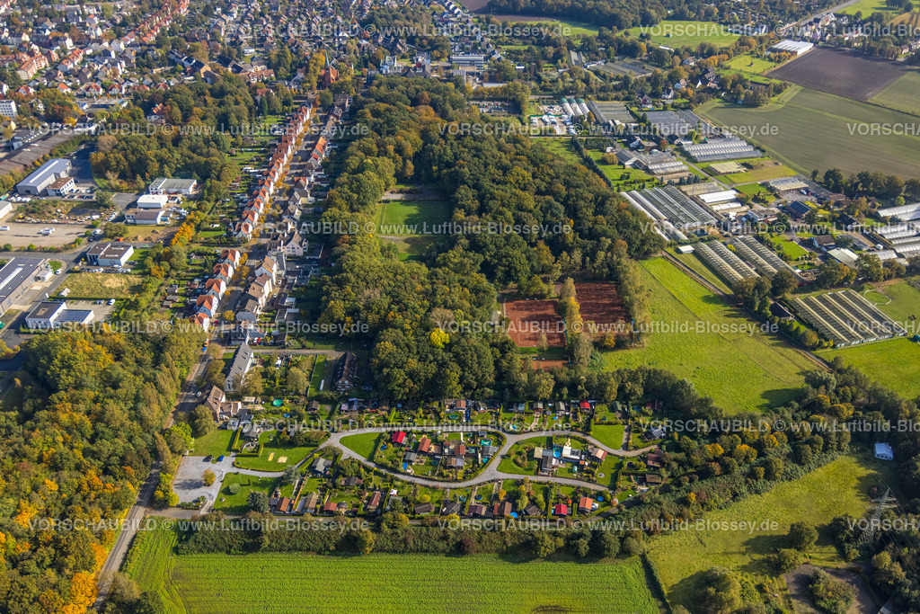 Luenen241012595 | Luftbild, Reihenhäuser Wohnsiedlung Elsa-Brändström-Straße am Volkspark, KGV Glückauf e.V. Kleingärtnerverein, Tennisplätze Tennisclub Brambauer 1951 e.V., Sabine Dahlke Gartenbau Gewächshäuser Iländerweg, Brambauer, Lünen, Ruhrgebiet, Nordrhein-Westfalen, Deutschland