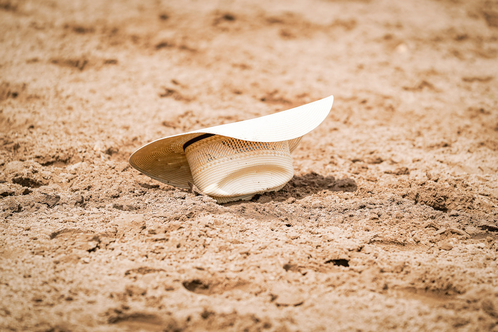 DSC07109 | Pferdegrafie