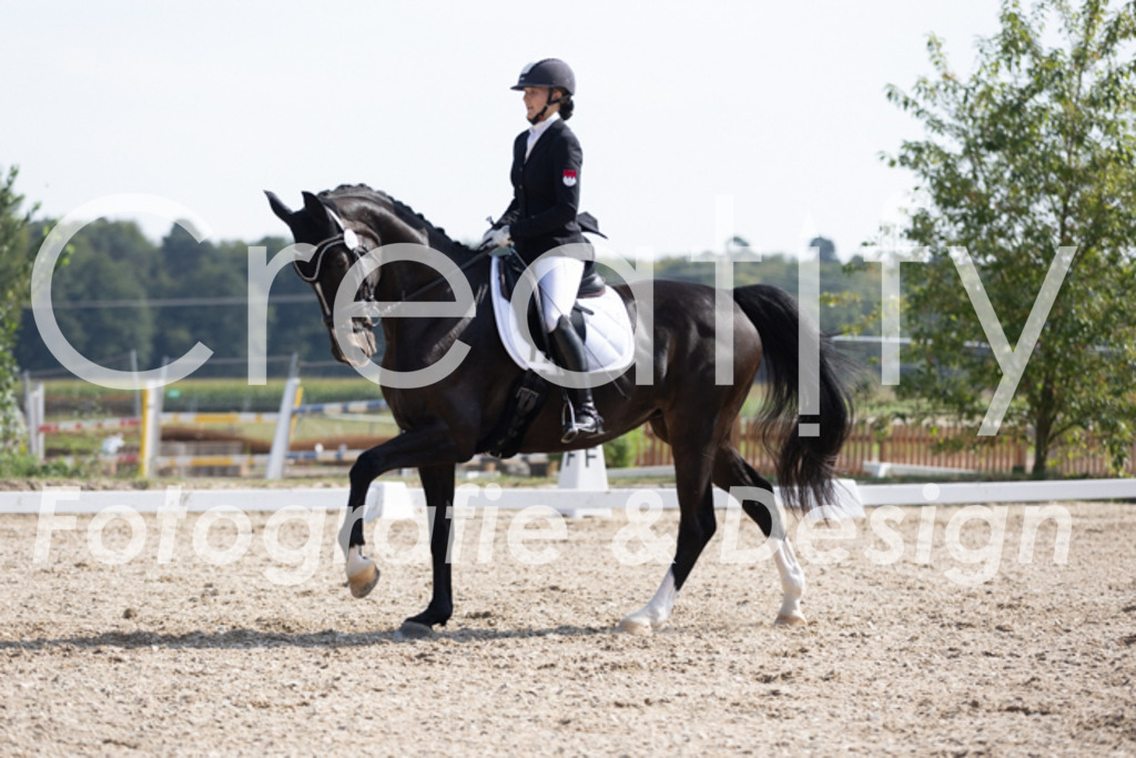 IMG_3490 | Creatify Fotografie