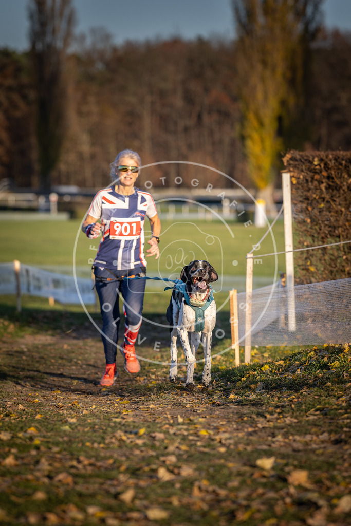 CaniXpix_DV3A4608 | Hundefotografie, Tierfotograf, Pfotenfotografie, Fotoshooting Hund, Hunde Portrait, Hundesport, Hundeportraits, Heideshooting, Hunde, Sportfotograf, Hundefotograf, Turnierhundsport, THS,  - Realisiert mit Pictrs.com