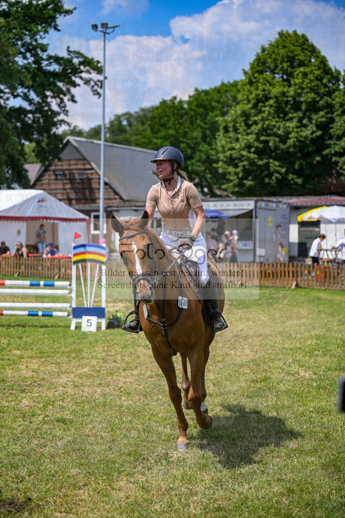 Reitturnier Voxtrup | Entdecke hochwertige Reitturnierfotos von Foto Oger. Professionell, emotional und authentisch – jetzt Lieblingsmomente im Shop bestellen.Deutschlandweite Turnierfotografie. - Realisiert mit Pictrs.com