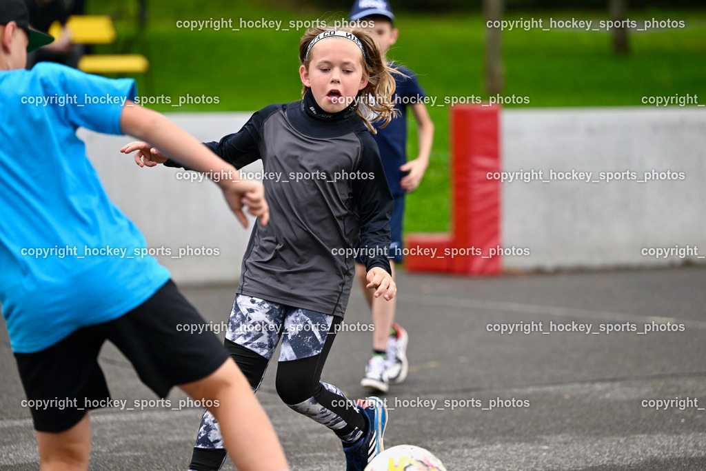 Z9B_0911 | hockey sports photos, Pressefotos, Sportfotos, hockey247, win 2day icehockeyleague, Handball Austria, Floorball Austria, ÖVV, Kärntner Eishockeyverband, KEHV, KFV, Kärntner Fussballverband, Österreichischer Volleyballverband, Alps Hockey League, ÖFB, 