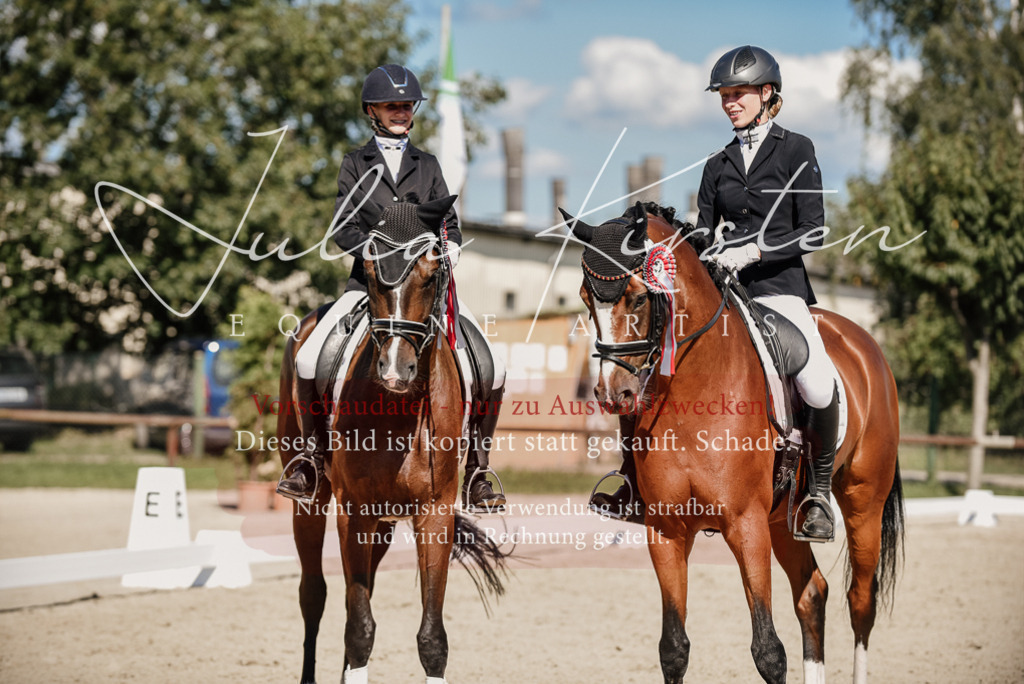 DSC_9793 | Pferde- und Turnierfotografie in Westsachsen. Pferdeportraits, Auftragszeichnungen und intuitive Kunst.