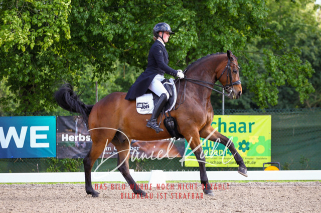 DKP41707 | Deine Turnierfotos vom Reitturnier online kaufen: Dressur, Springen & Siegerehrung. Professionelle Pferdefotografie aus dem Rheinland – als Download & Print.Alternative: Turnierfotograf für den Pferdesport: Finde deine Fotos von Dressur- und Springturnier