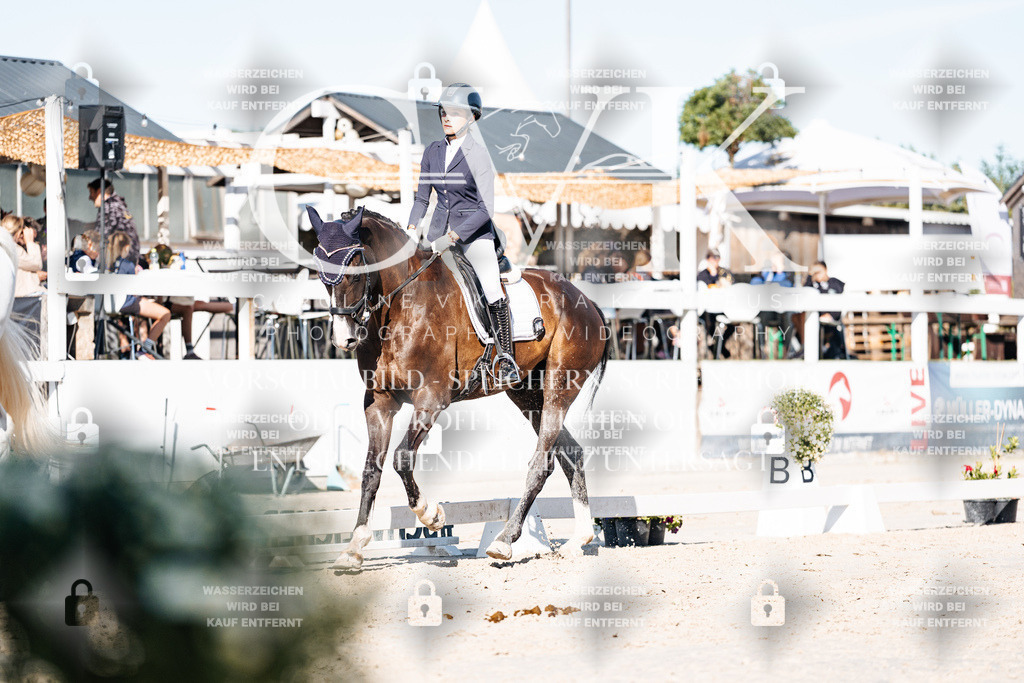 CK907463 | Turnierfotografie Pferdefotografie Trier Rheinland-Pfalz Pferdesport Reitsport Tierfotografie Sportfotografie Pferdevideo Pferdevideografie Equestrianvideography equestrianphotography  - Realisiert mit Pictrs.com