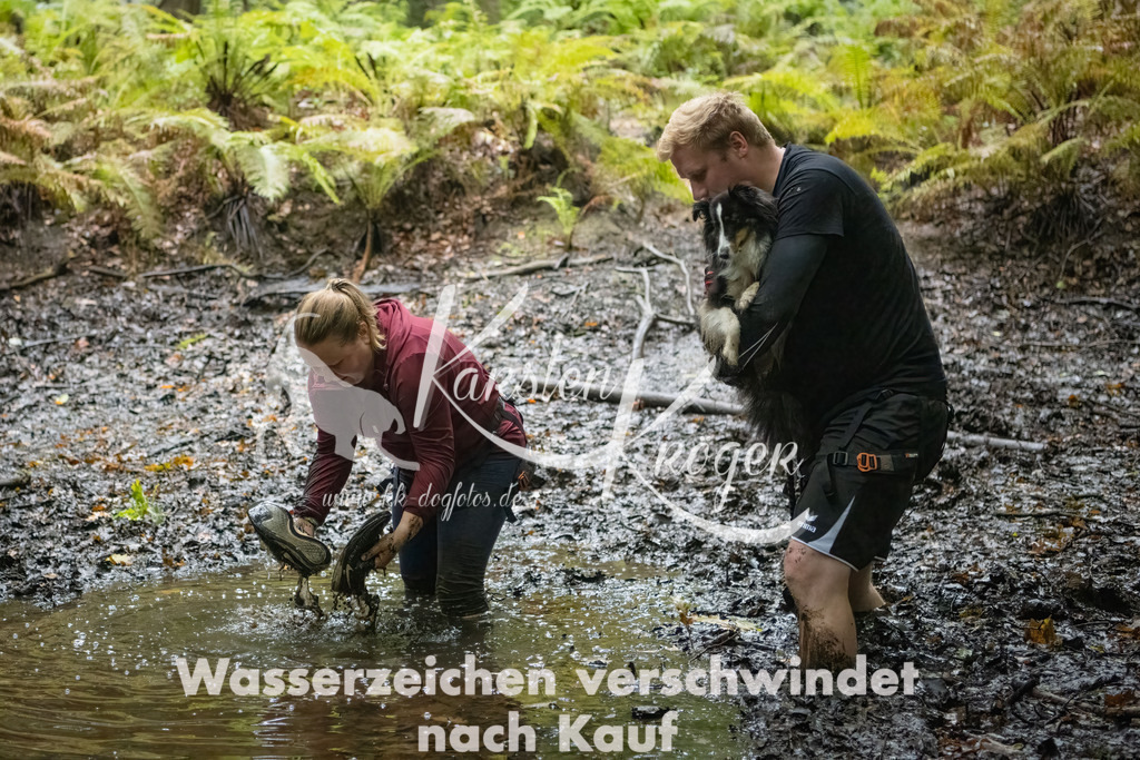 0907_ZZ90044-Bearbeitet | kk-dogfotos