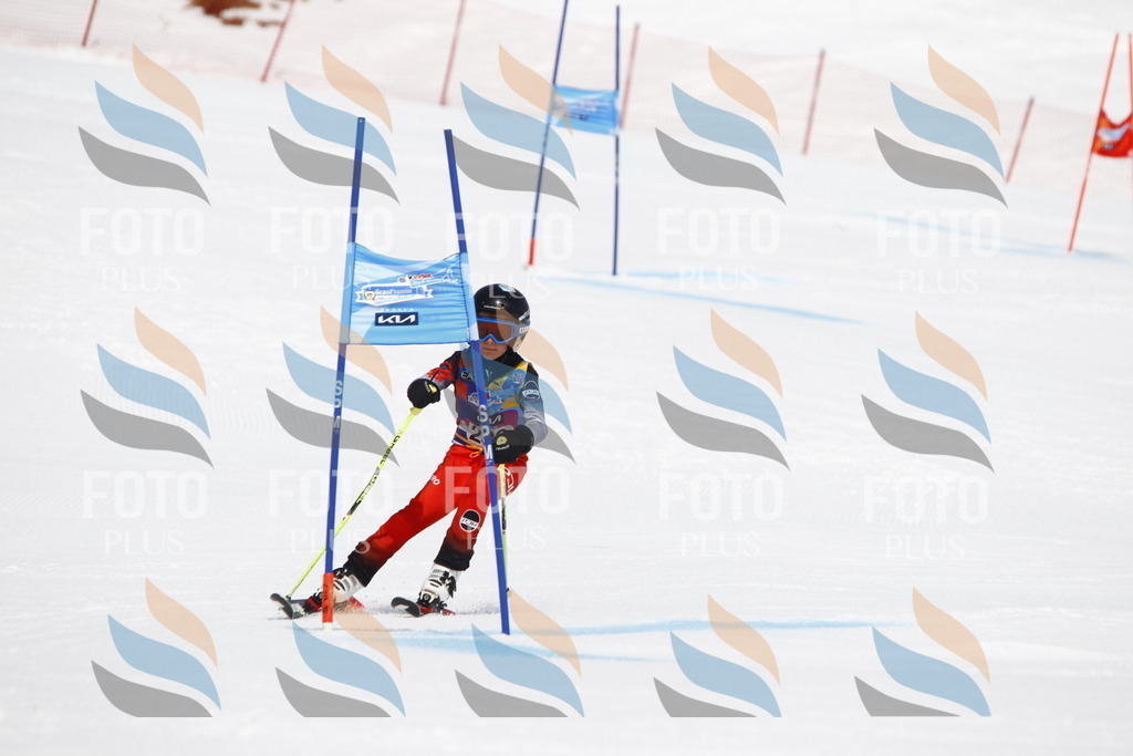 _U3G6052 | holidayphoto