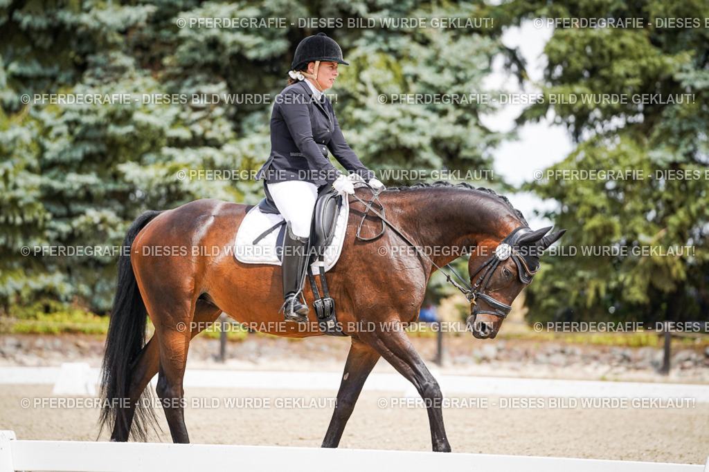 DSC01953 | Pferdegrafie