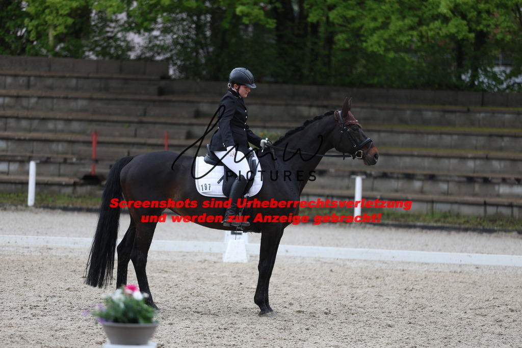 A40A8551 | lmwpictures - Realisiert mit Pictrs.com