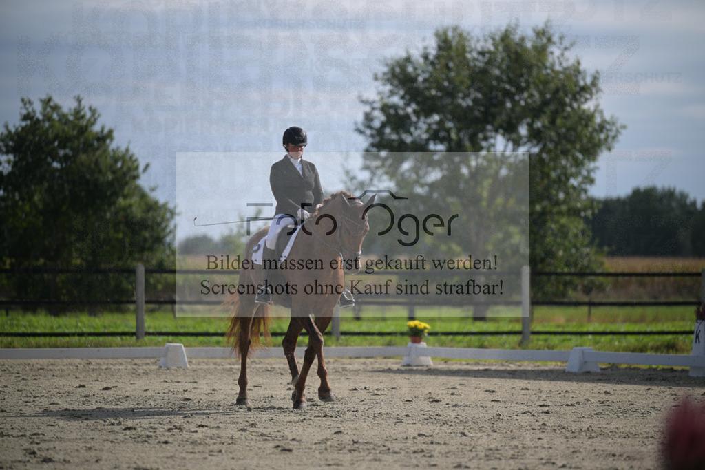 DOS_2777 | Entdecke hochwertige Reitturnierfotos von Foto Oger. Professionell, emotional und authentisch – jetzt Lieblingsmomente im Shop bestellen.Deutschlandweite Turnierfotografie. - Realisiert mit Pictrs.com