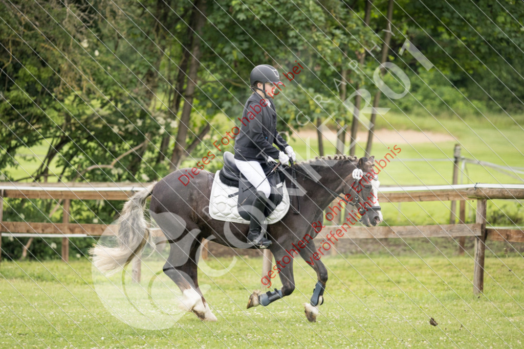 IMG_2522 | Sport-, Event- und Tierfotos in Profiqualität. Einfach auswählen, bestellen und herunterladen. Dein Moment – perfekt festgehalten.