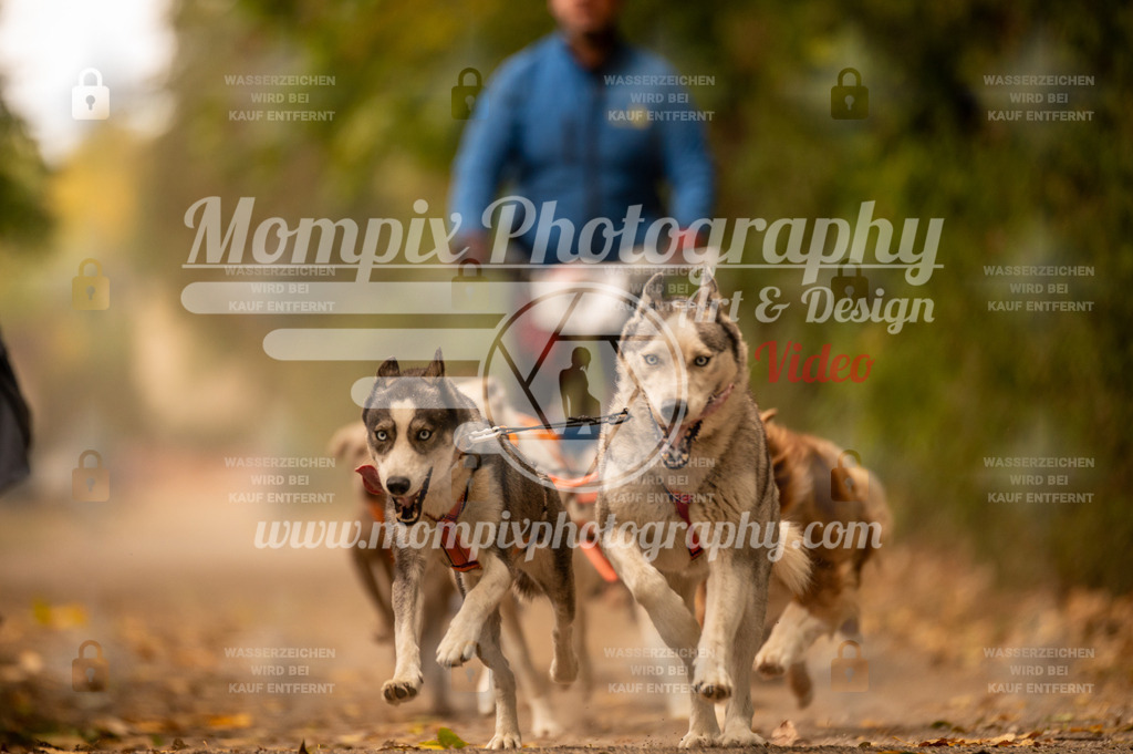 CDLBDB_14_10_2023_Samedi-27 | PayLife