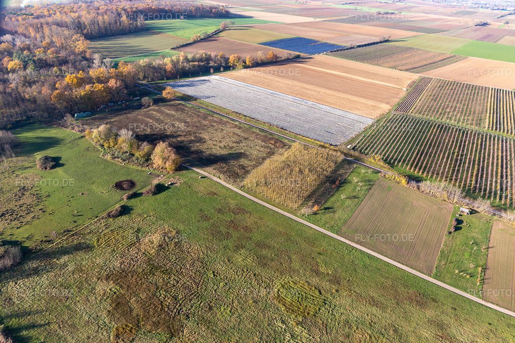 Luftbild: Billigheimer Bruch, Erlenbachtal zwischen Barbelroth, Hergersweiler und Winden im Ortsteil Mühlhofen in Billigheim-Ingenheim im Bundesland Rheinland-Pfalz in Deutschland. Foto: IMG_123910.jpg vom 21.11.2020 durch Werner Riehm/FLY-FOTO.de