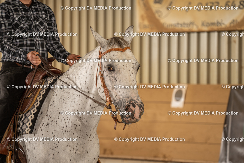 NID02834 | dv-media-shop - Realisiert mit Pictrs.com