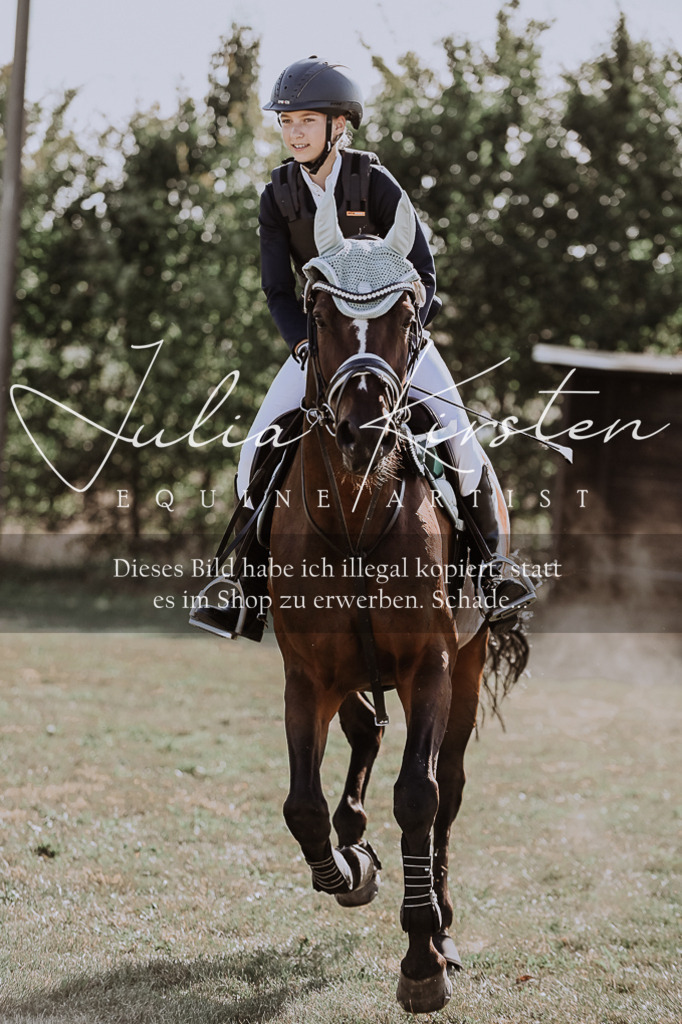 DSC_9542 | Pferde- und Turnierfotografie in Westsachsen. Pferdeportraits, Auftragszeichnungen und intuitive Kunst.