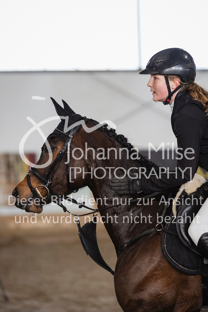 240317_Borgholzhausen_SprPf-A-739 | Deine schönsten Turniermomente als professionelle Fotos! Entdecke hochwertige Pferdesport-Fotografie im Online-Shop. Jetzt Fotos finden & bestellen!