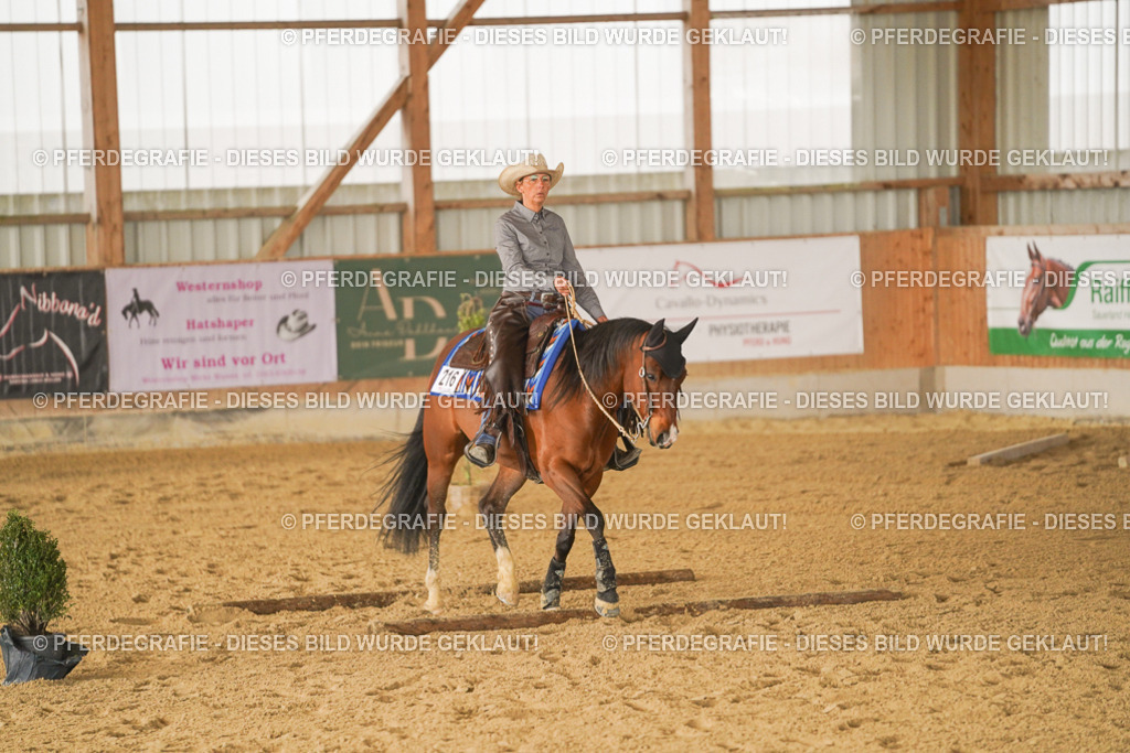 DSC02133 | Pferdegrafie