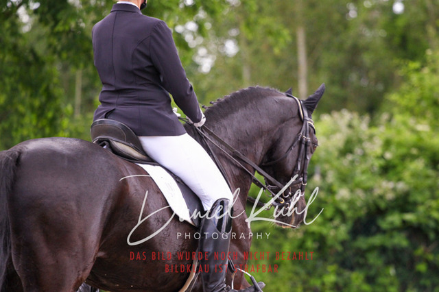 DKP41169 | Turnierfotos kaufen im Webshop von Daniel Kuhl Photography – entdecke professionelle Reitsportfotos aus Turnieren & Events. Hochwertige Turnierbilder online bestellen & sichern. Jetzt Fotos von Reitsportturnieren kaufen!