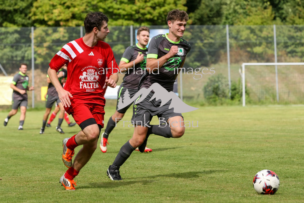 993T1120 | li. Matthias Koller