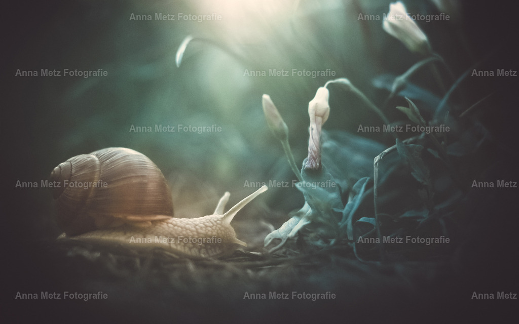 IMG_7533 | anna-metz - Realisiert mit Pictrs.com