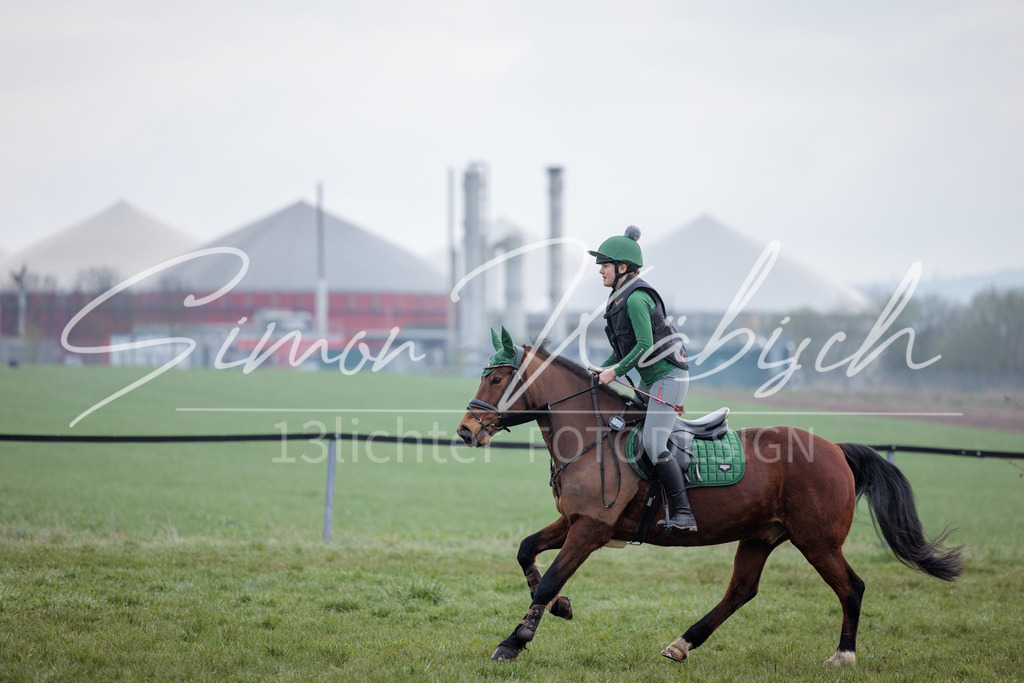 20260329-_3LI3776 | Tierfotografie Pferde, Hunde, Katzen, Haustiere.
Turnierfotografie Reitturniere, Reiten, Springreiten, Dressur in Hanau, dem Main-Kinzig-Kreis und dem Rhein-Main- Gebiet um Frankfurt