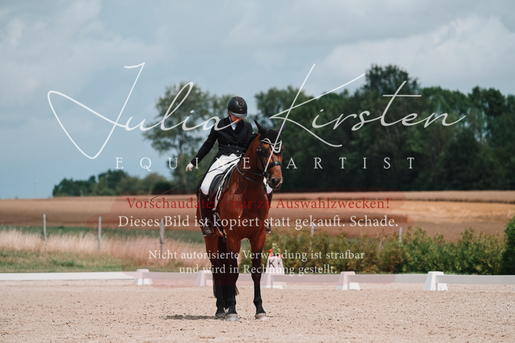 DSC_4395 | Pferde- und Turnierfotografie in Westsachsen. Pferdeportraits, Auftragszeichnungen und intuitive Kunst.