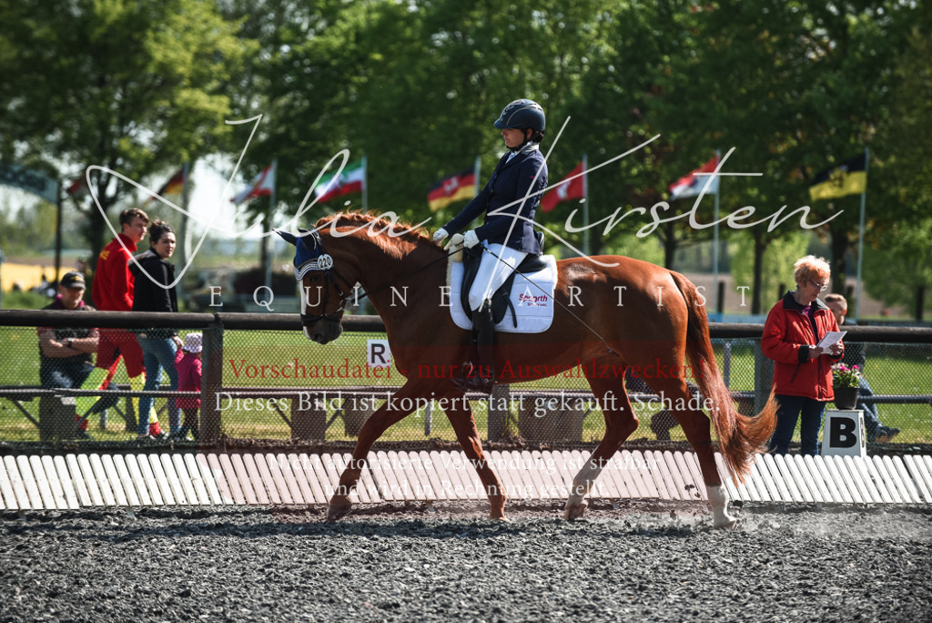 DSC_8849 | Pferde- und Turnierfotografie in Westsachsen. Pferdeportraits, Auftragszeichnungen und intuitive Kunst.