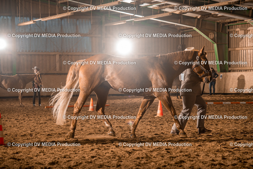 BAL01197 | dv-media-shop - Realisiert mit Pictrs.com