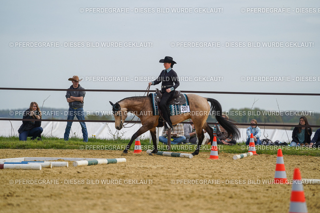 DSC03853 | Pferdegrafie