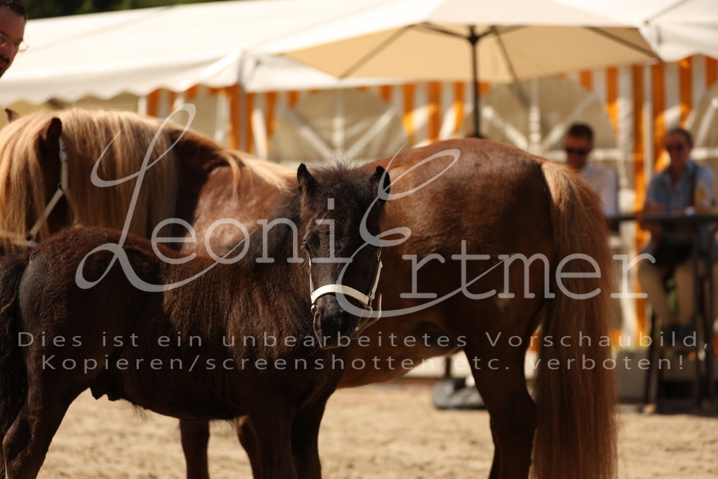 02.So00046 | Leoni Ertmer Photography - Realisiert mit Pictrs.com