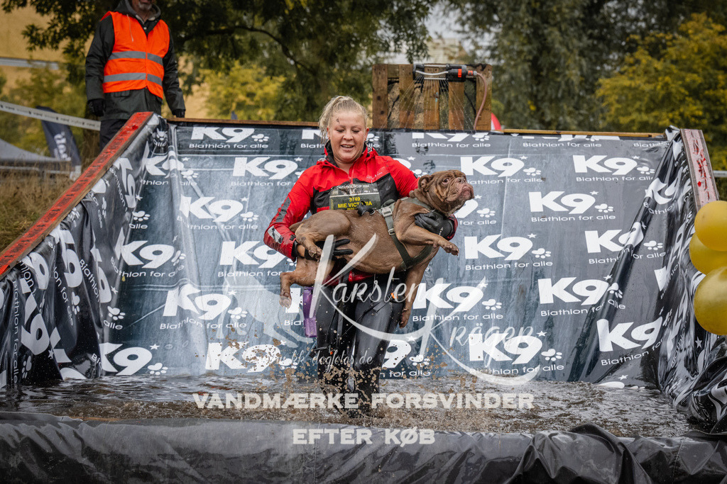 1208_ZZ94478 | kk-dogfotos