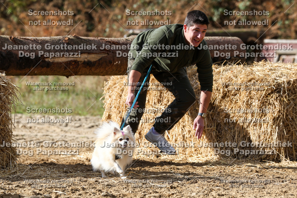 Dog Paparazzi - Strongdog 10-25-4991 | Dog Paparazzi Jeanette Grottendiek Fotografie & Videografie - Realisiert mit Pictrs.com