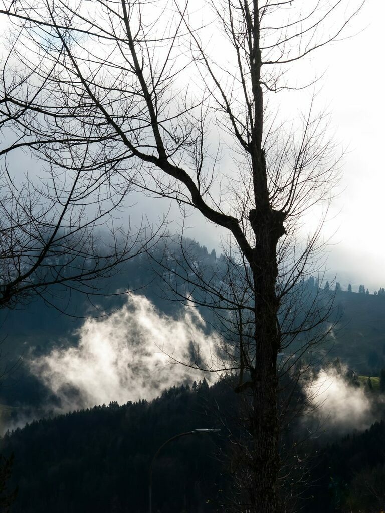 PSX_20221105_231853 | mtkfoto_ - Realisiert mit Pictrs.com