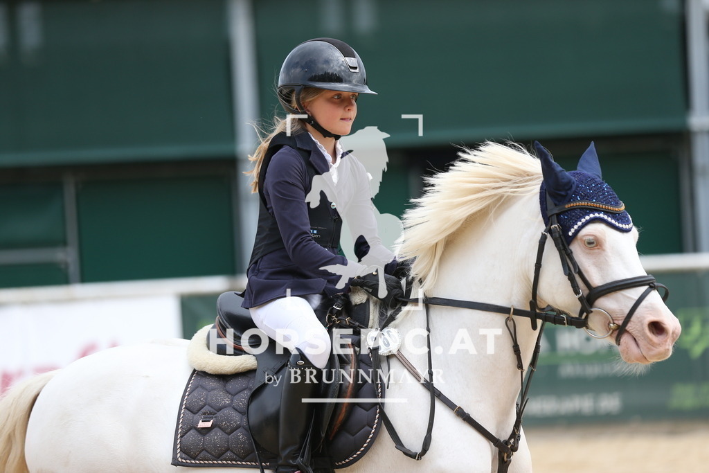 AS8V2015 | Willkommen bei Brunnmayr - Design & Fotografie – Ihrem Spezialisten für Reitturniere und Pferdeveranstaltungen in Oberösterreich, Salzburg und Bayern! Seit über 17 Jahren sind wir leidenschaftlich dabei.