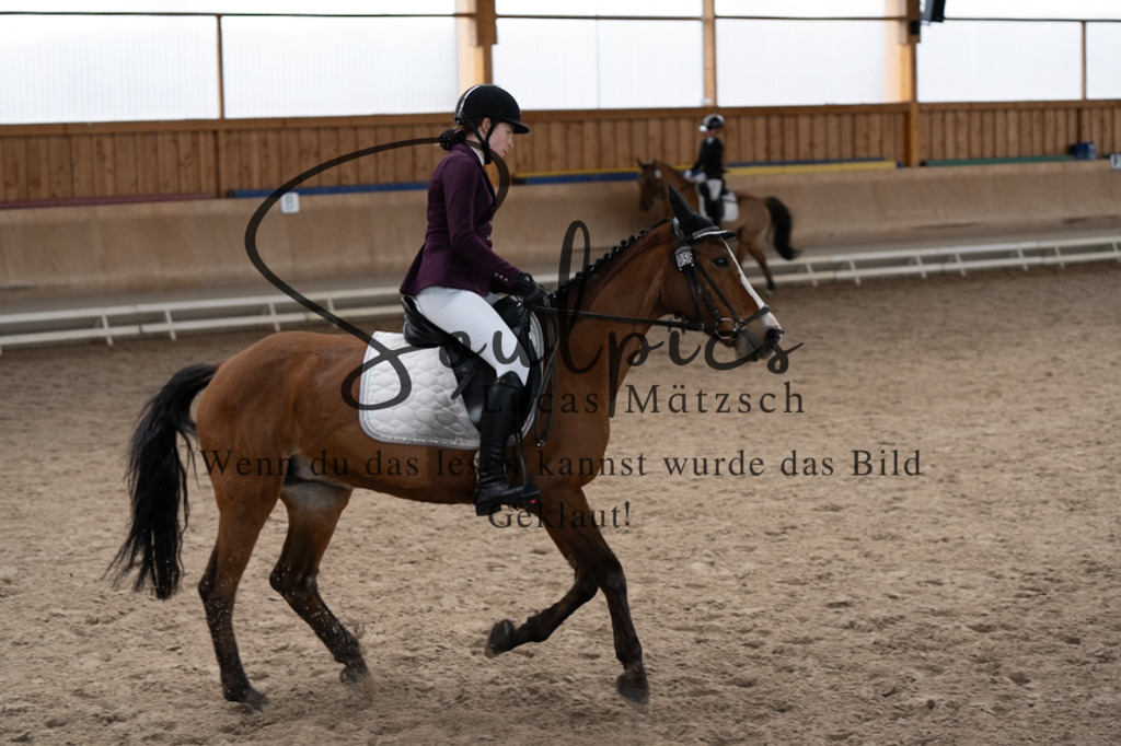 A7V09711 | Pferdefotograf