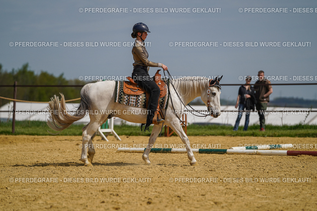 DSC04708 | Pferdegrafie