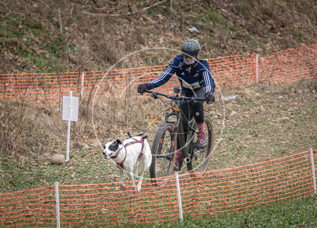 Pfotenfotografie_DV3A9759 | Hundefotografie, Tierfotograf, Pfotenfotografie, Fotoshooting Hund, Hunde Portrait, Hundesport, Hundeportraits, Heideshooting, Hunde, Sportfotograf, Hundefotograf, Turnierhundsport, THS,  - Realisiert mit Pictrs.com