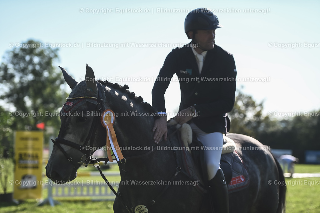 20230908_14-15_Springpferde-A_0133 | equistock