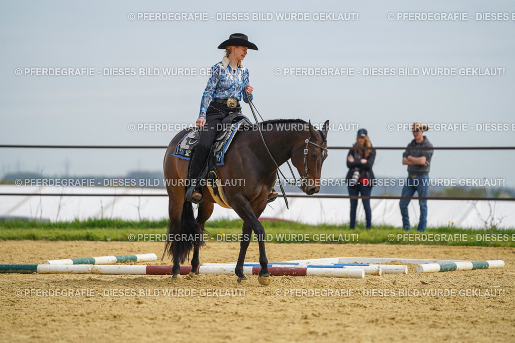 DSC03581 | Pferdegrafie