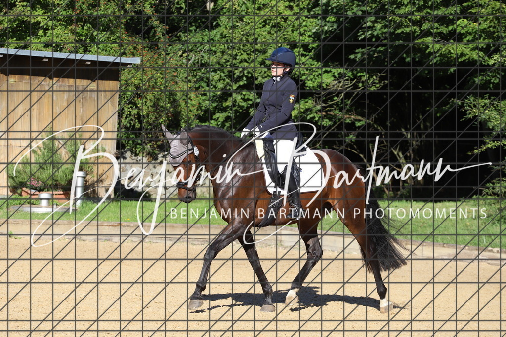 IMG_5149 | Benjamin Bartmann Photomoments