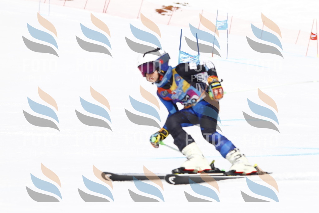 _U3G5400 | holidayphoto