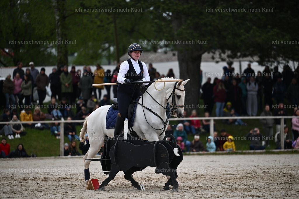 PI26_SP_Sara_Landvogt_226_4747.JPG | working equitationturnier fotograf videograf stoibphotography marixx film working equitation deutschland reitsport turnierfotografie eventfotografie equestrian events