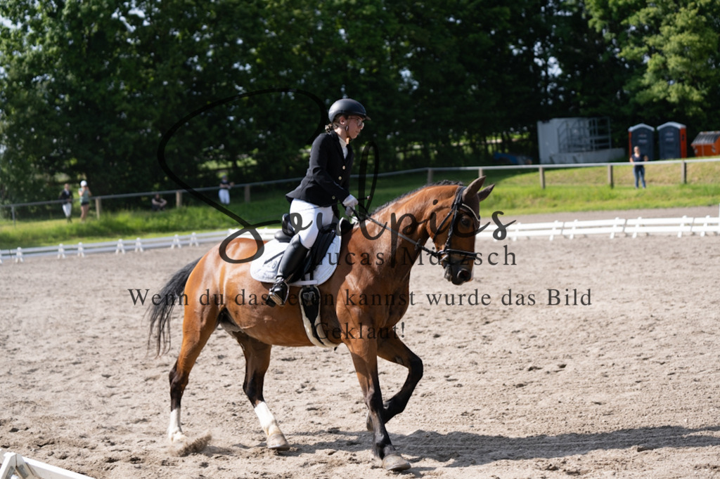 A7V02519 | Pferdefotograf